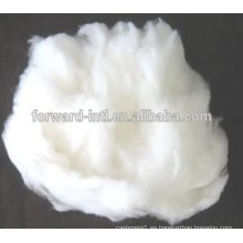 Fibra de cachemira cardada y peinada Dehaired Pure White